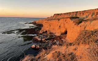 Sunset on San Diego cliffs